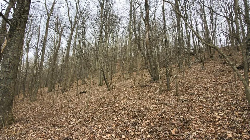TBD Tater Hill Road Boone, NC 28698