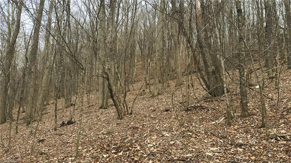 TBD Tater Hill Road Boone, NC 28698