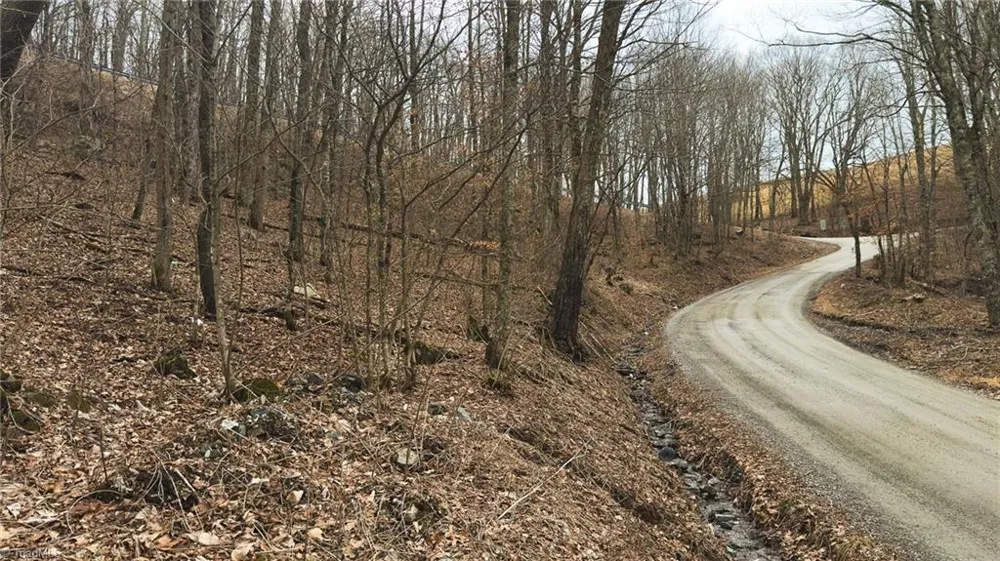 TBD Tater Hill Road Boone, NC 28698
