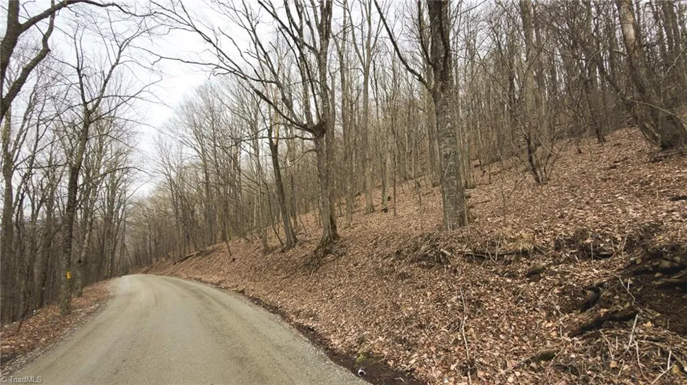 TBD Tater Hill Road Boone, NC 28698