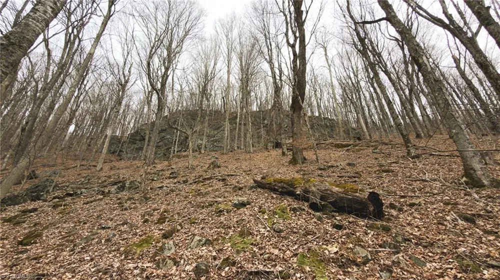 TBD Tater Hill Road Boone, NC 28698