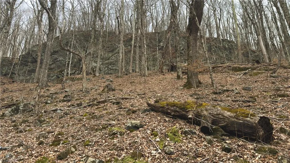 TBD Tater Hill Road Boone, NC 28698