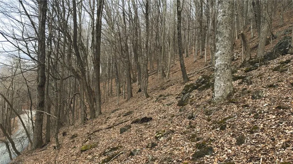 TBD Tater Hill Road Boone, NC 28698
