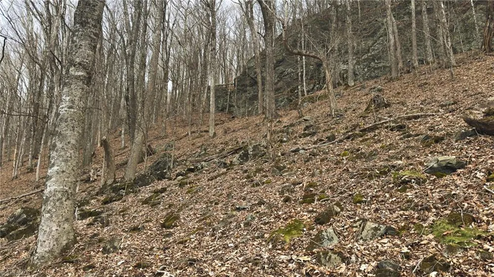 TBD Tater Hill Road Boone, NC 28698