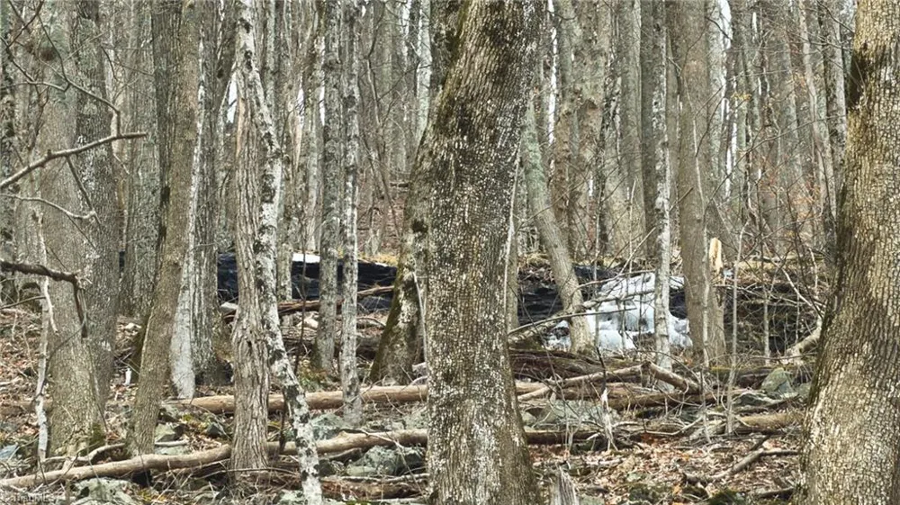 TBD Tater Hill Road Boone, NC 28698