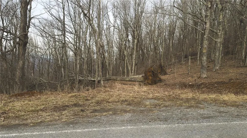TBD Tater Hill Road Boone, NC 28698
