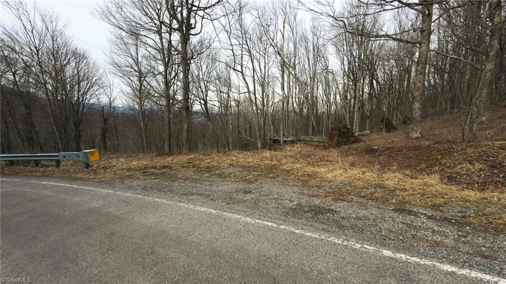 TBD Tater Hill Road Boone, NC 28698