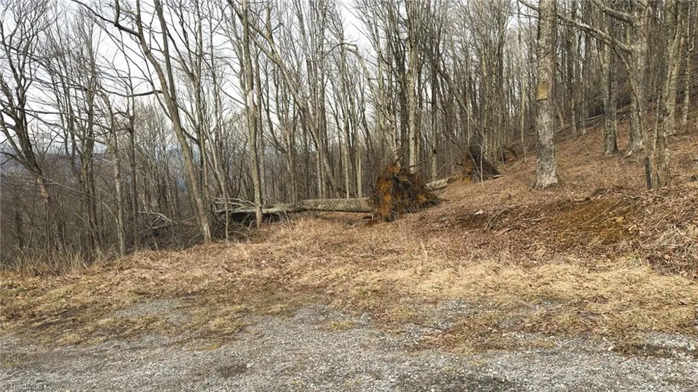 TBD Tater Hill Road Boone, NC 28698