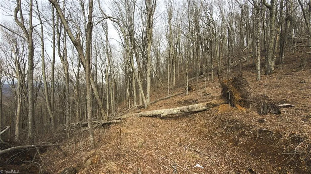 TBD Tater Hill Road Boone, NC 28698