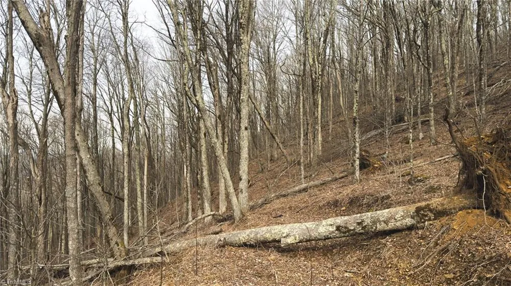 TBD Tater Hill Road Boone, NC 28698