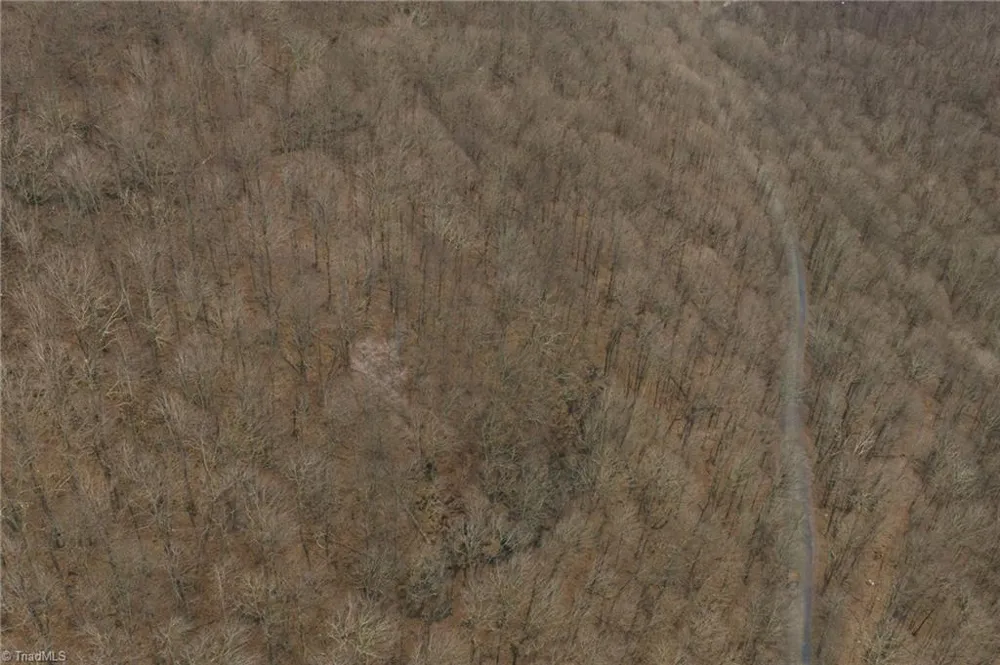 TBD Tater Hill Road Boone, NC 28698
