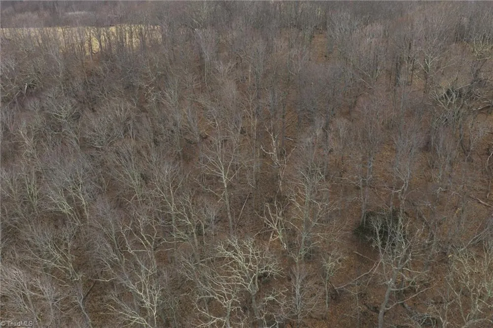 TBD Tater Hill Road Boone, NC 28698