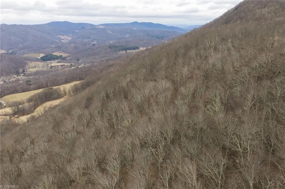 TBD Tater Hill Road Boone, NC 28698