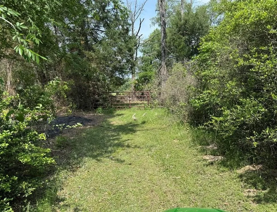 18242 Old Bundick Road Hearne, TX 77859
