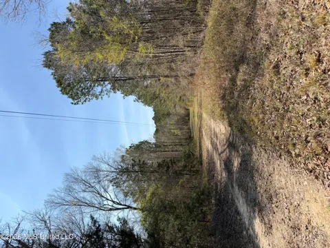 285 Mount Horeb Road