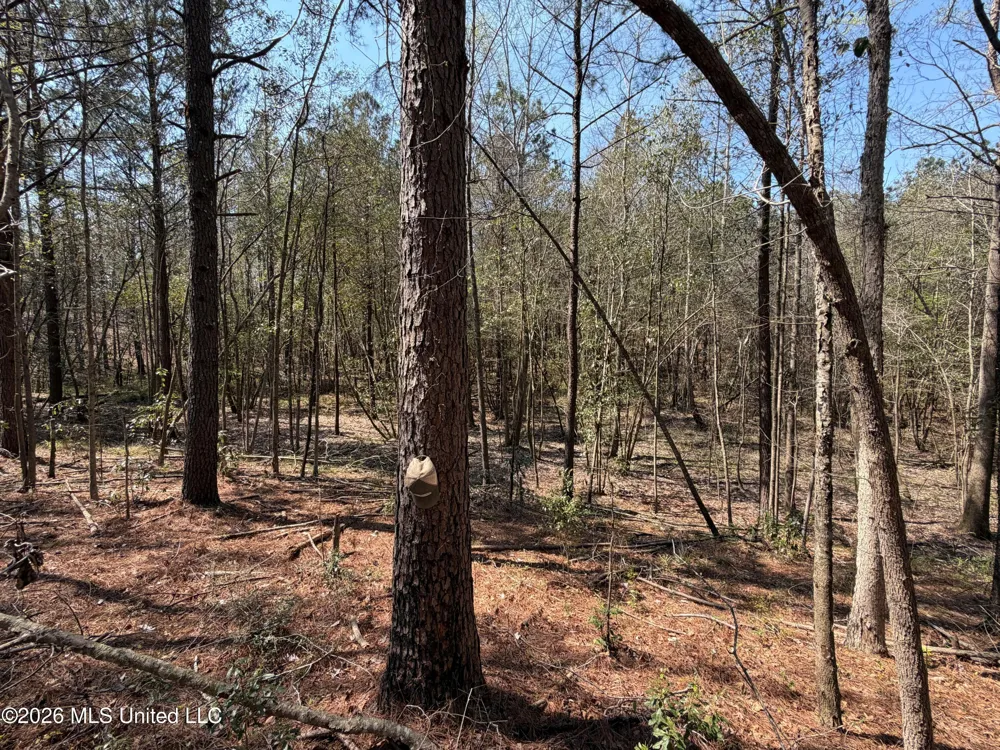 285 Mount Horeb Road Meridian, MS 39301
