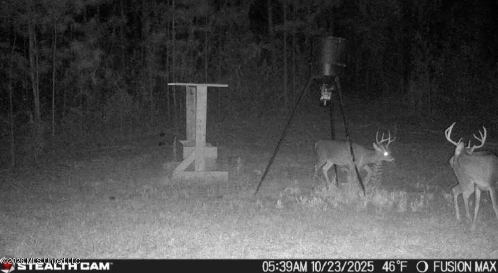285 Mount Horeb Road Meridian, MS 39301