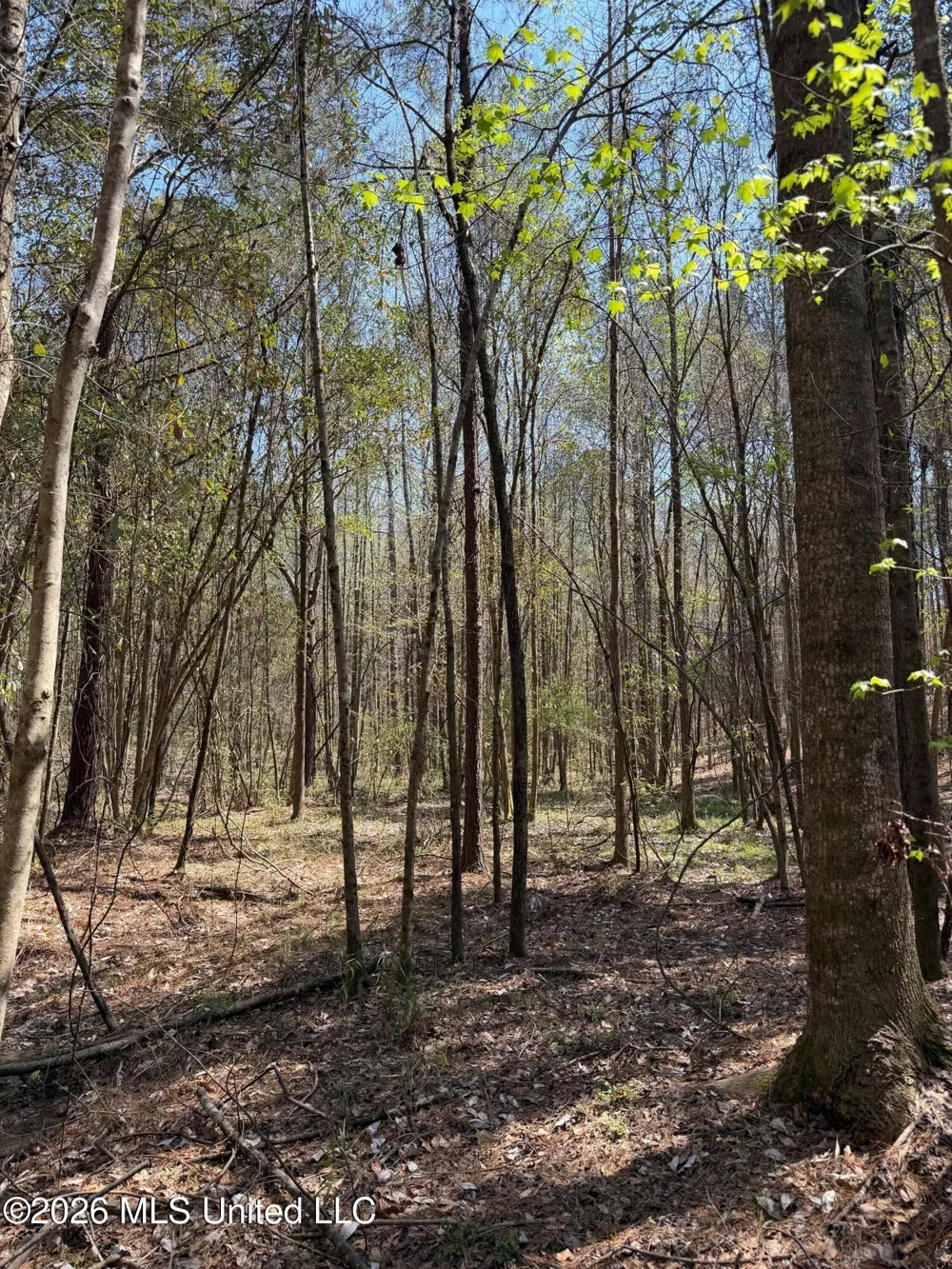 285 Mount Horeb Road Meridian, MS 39301