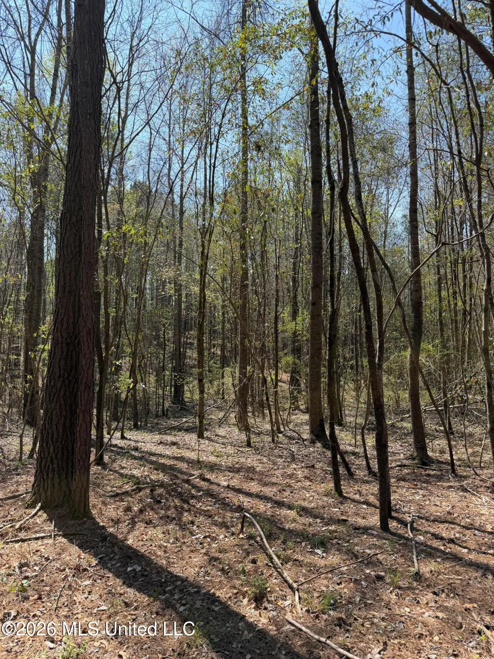 285 Mount Horeb Road Meridian, MS 39301