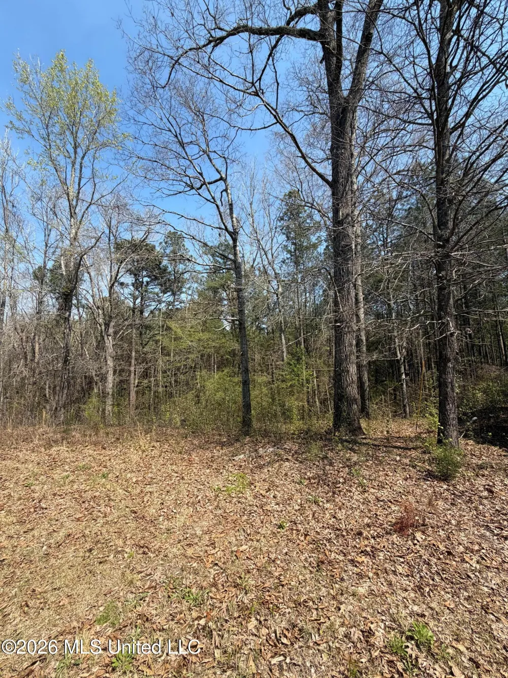 285 Mount Horeb Road Meridian, MS 39301