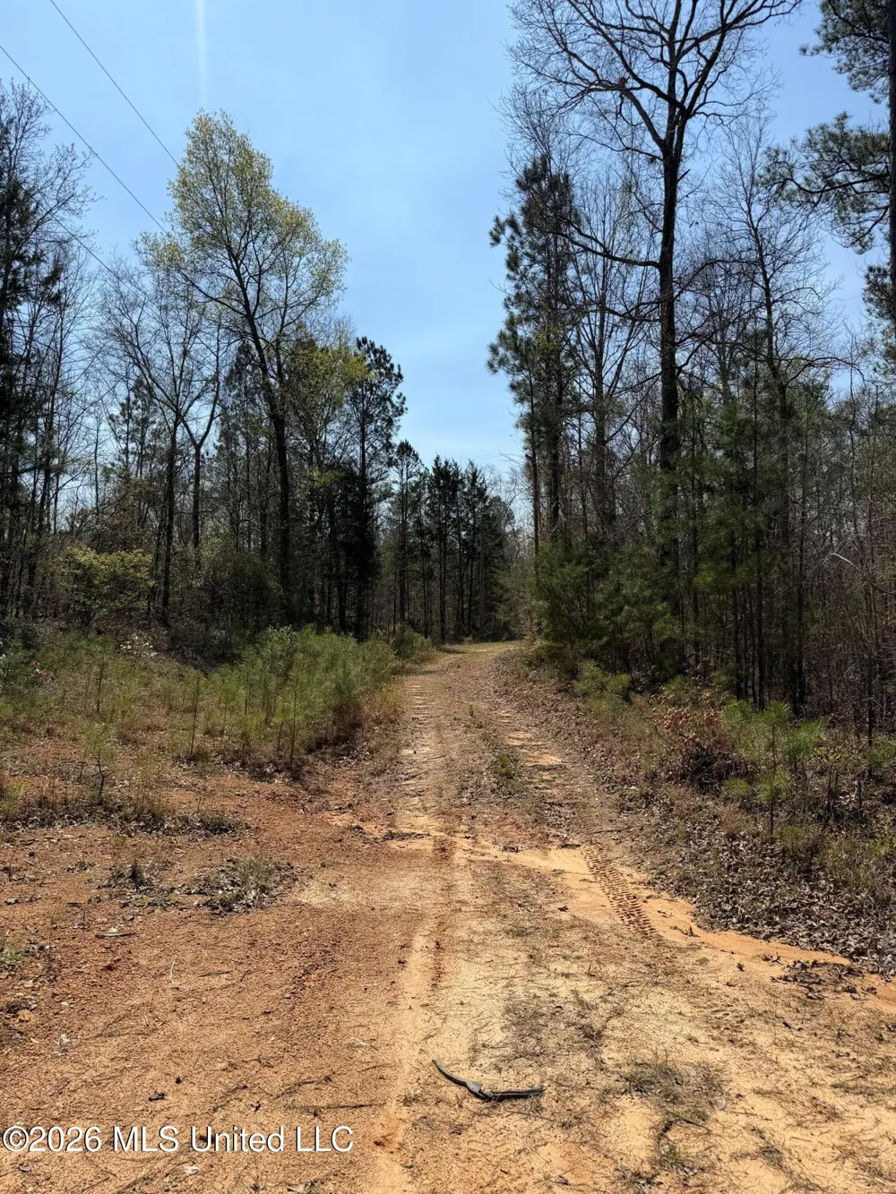 285 Mount Horeb Road Meridian, MS 39301