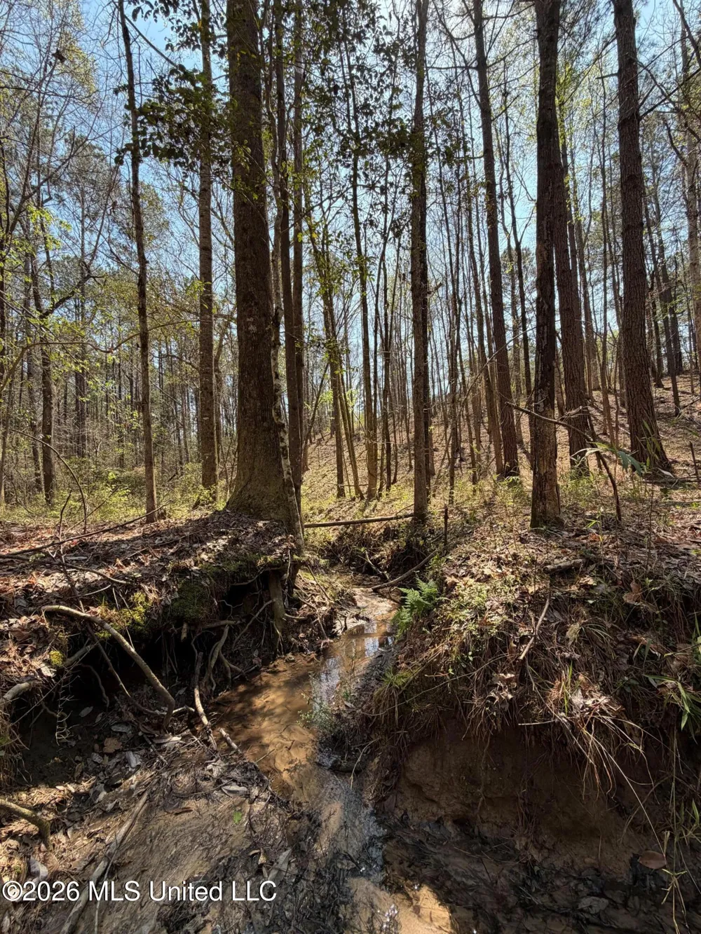 285 Mount Horeb Road Meridian, MS 39301