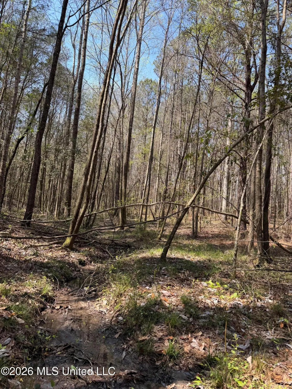 285 Mount Horeb Road Meridian, MS 39301