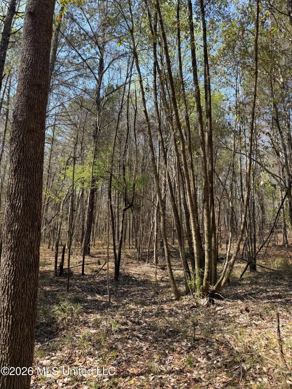 285 Mount Horeb Road Meridian, MS 39301