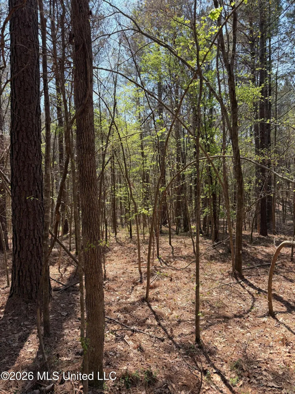 285 Mount Horeb Road Meridian, MS 39301