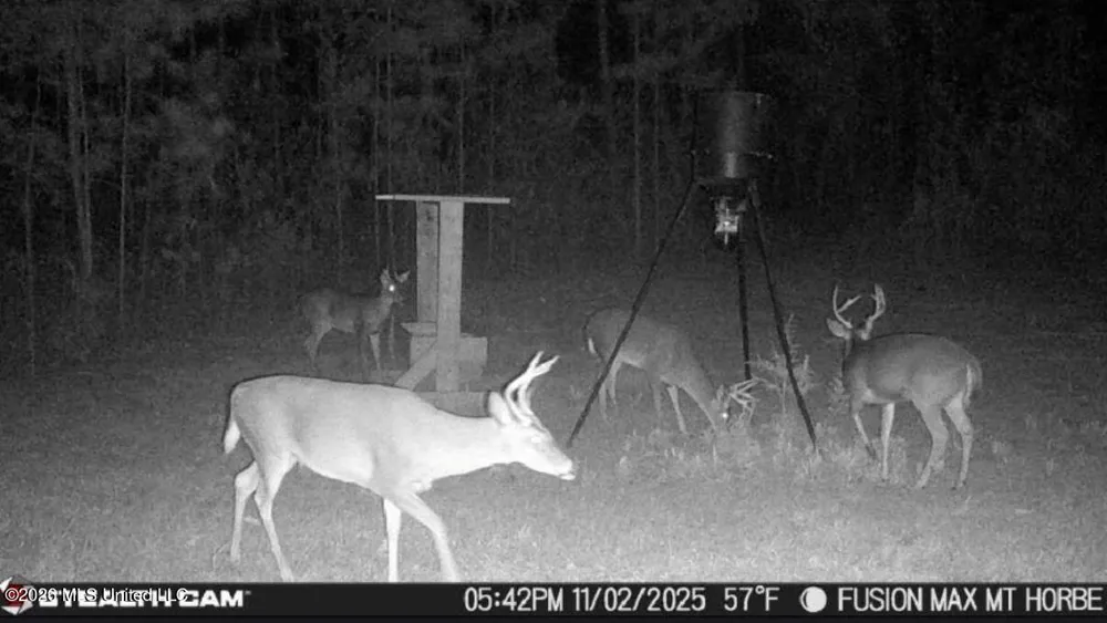 285 Mount Horeb Road Meridian, MS 39301