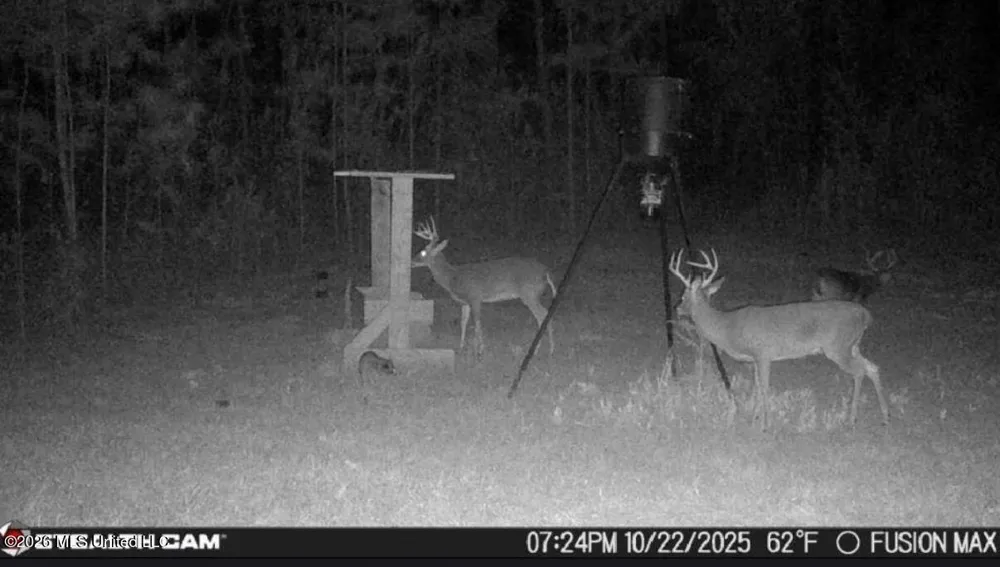 285 Mount Horeb Road Meridian, MS 39301