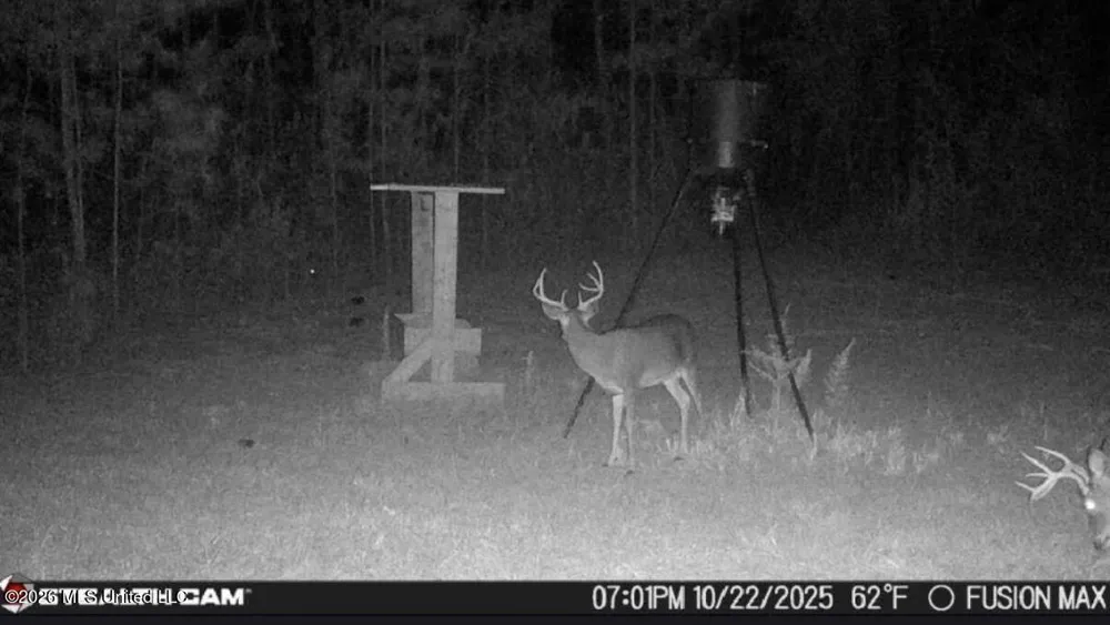 285 Mount Horeb Road Meridian, MS 39301