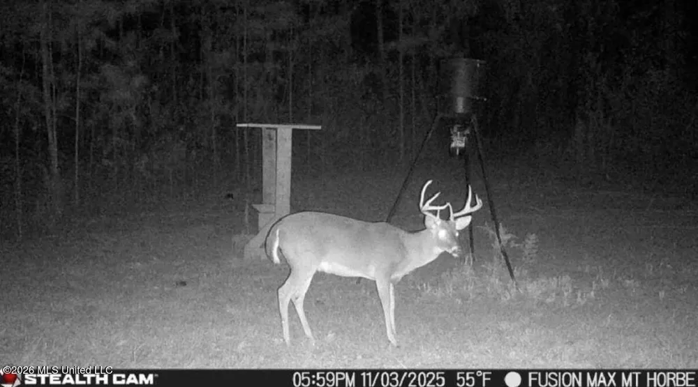 285 Mount Horeb Road Meridian, MS 39301