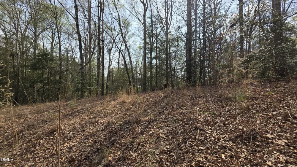 818 Sagamore Drive Louisburg, NC 27549