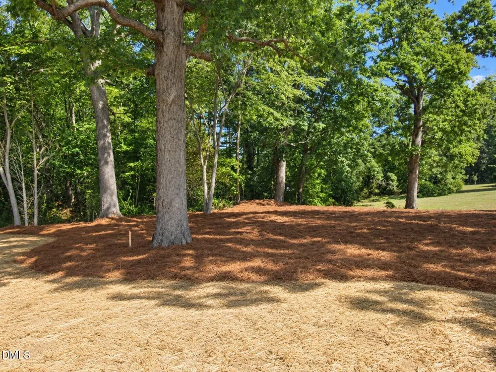 306 S Elm Street Creedmoor, NC 27522