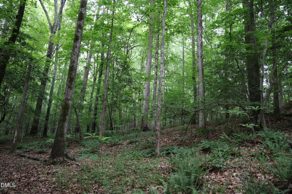 1232 Rivermead Lane Wake Forest, NC 27587