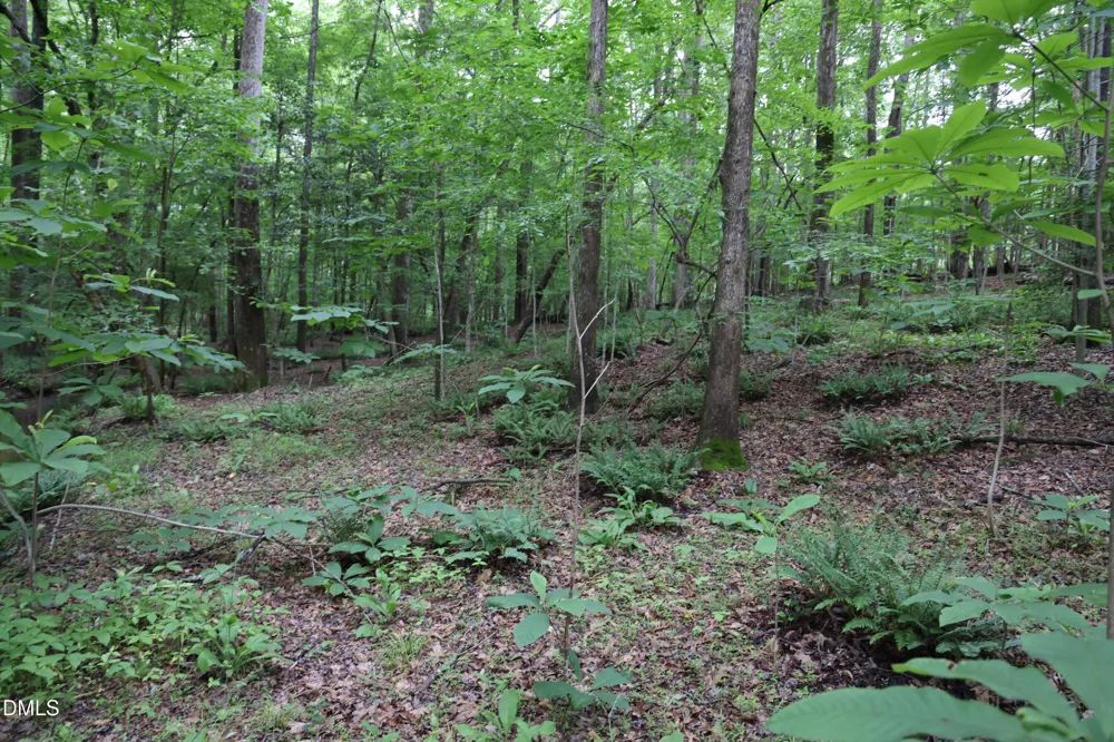 1232 Rivermead Lane Wake Forest, NC 27587