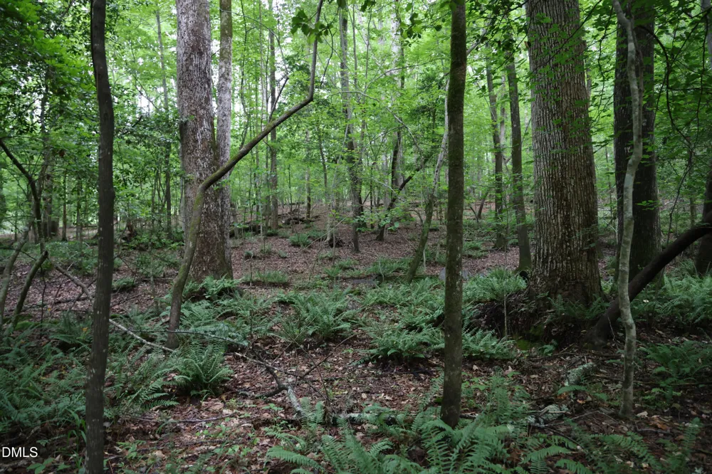 1232 Rivermead Lane Wake Forest, NC 27587