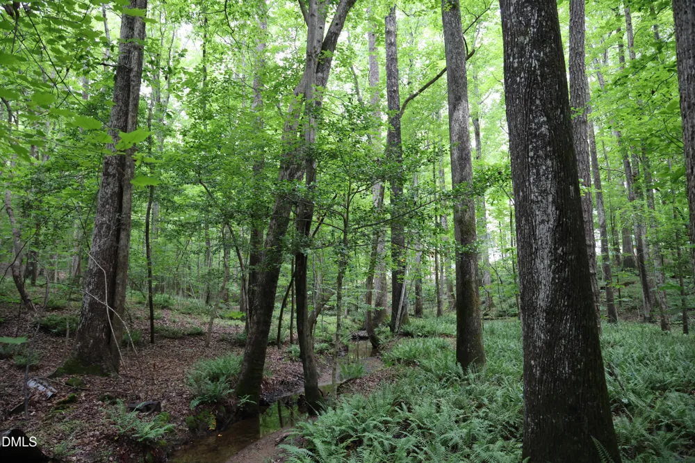 1232 Rivermead Lane Wake Forest, NC 27587