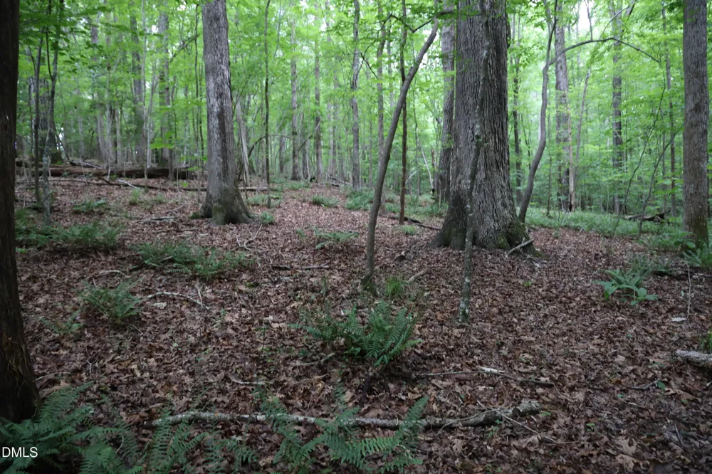 1232 Rivermead Lane Wake Forest, NC 27587