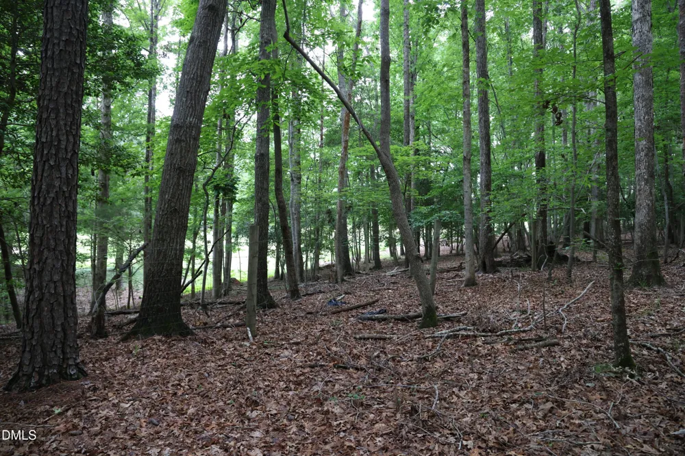 1232 Rivermead Lane Wake Forest, NC 27587