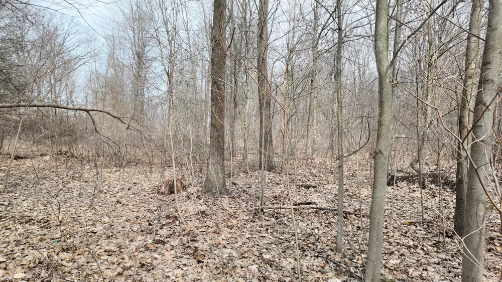 5371 Jensen Road Fruitport, MI 49415