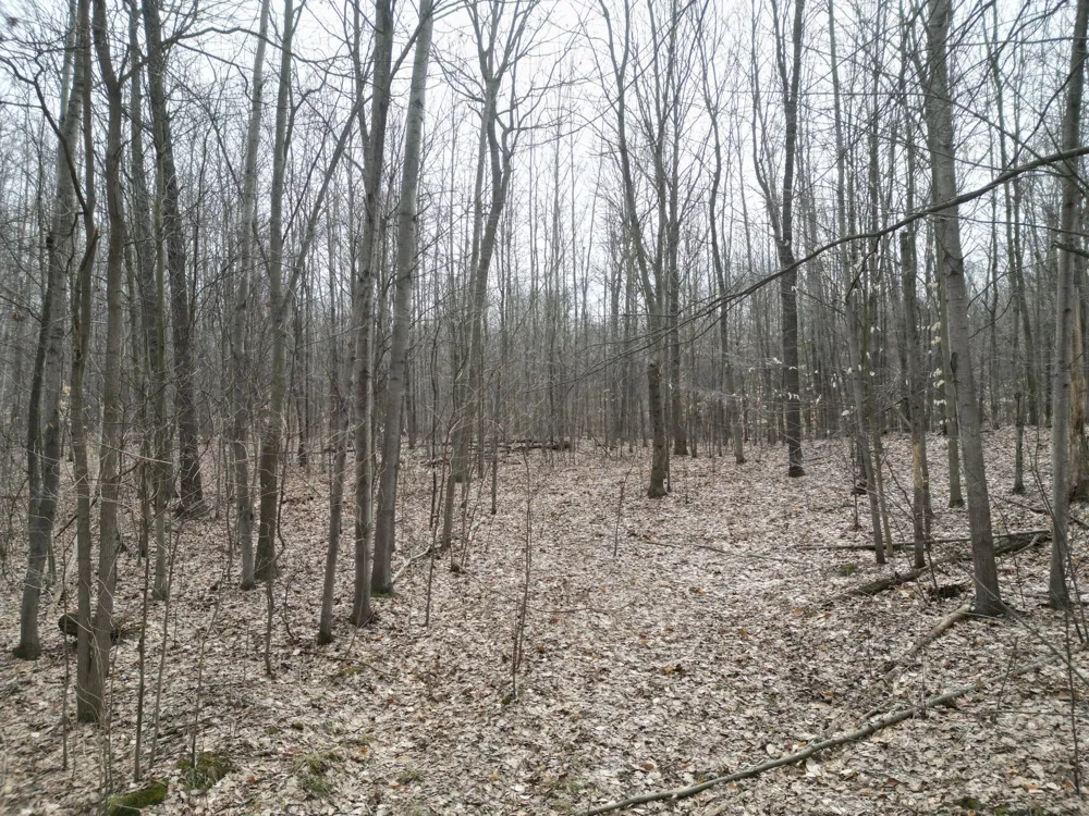 5371 Jensen Road Fruitport, MI 49415