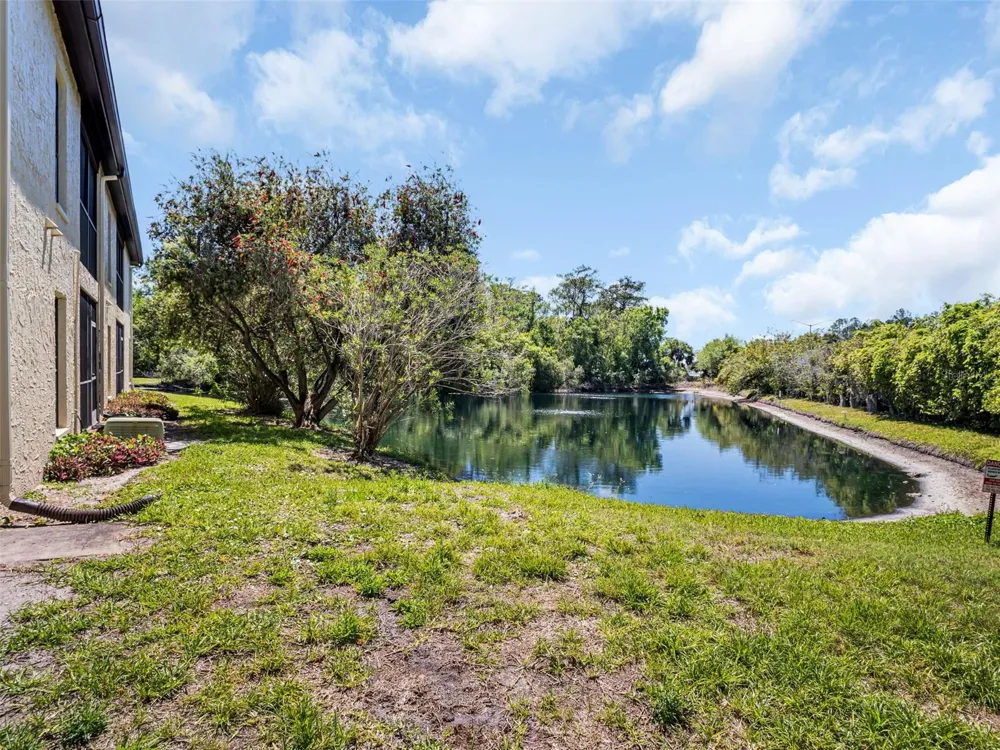 1801 E LAKE ROAD #20C Palm Harbor, FL 34685