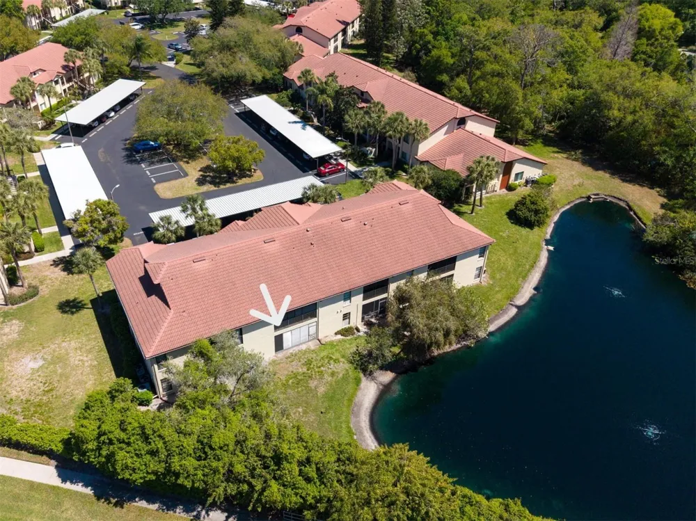 1801 E LAKE ROAD #20C Palm Harbor, FL 34685