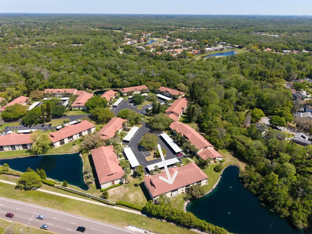 1801 E LAKE ROAD #20C Palm Harbor, FL 34685