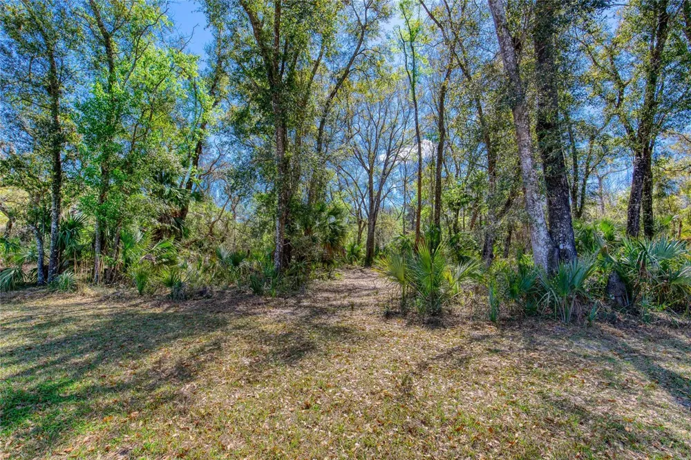 1801 ADRIAN CREEK BOULEVARD Port Orange, FL 32128