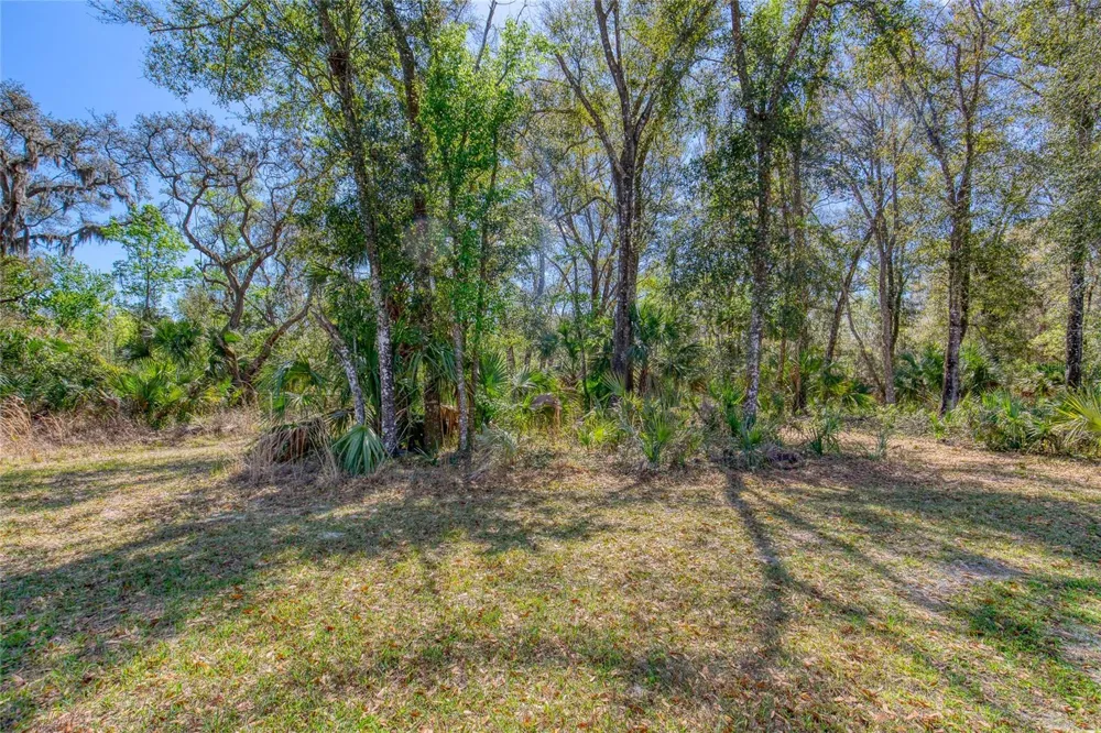 1801 ADRIAN CREEK BOULEVARD Port Orange, FL 32128