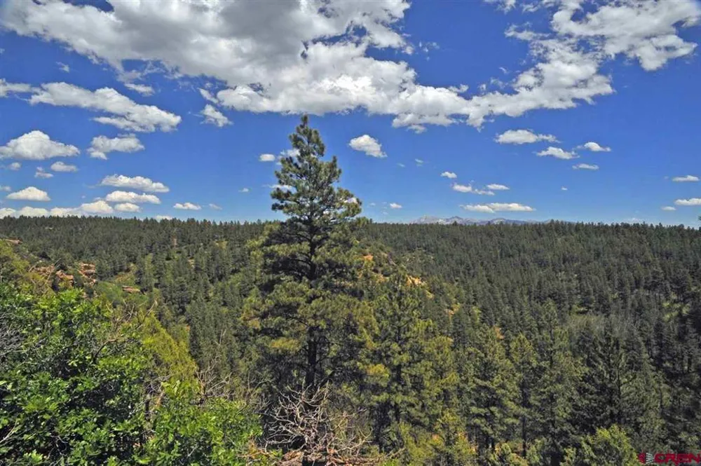 120 Road T.7 Mancos, CO 81328