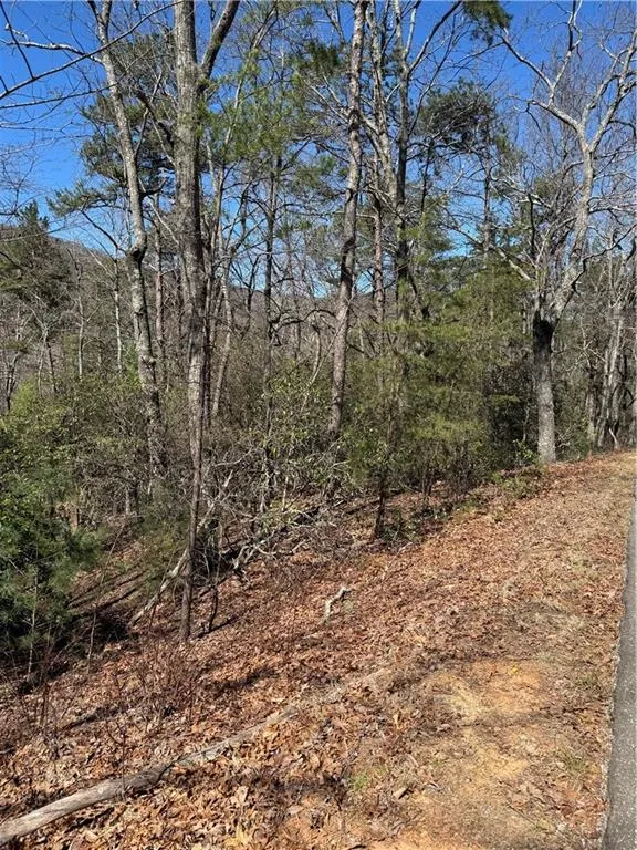 5504 Red Fox Drive Big Canoe, GA 30143